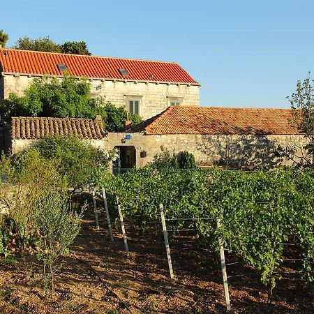 Villa Violic Zaton (Dubrovnik-Neretva) Exterior foto